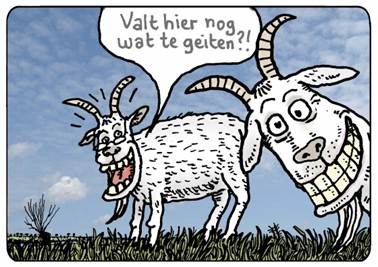 Beschrijving: valt hier nog wat te geiten?! (© www.heerstoute.nl)