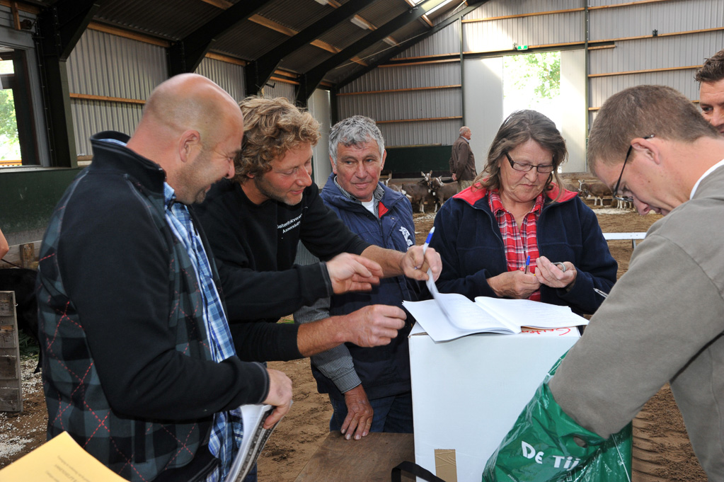 Geitenkeuring van Geitenfokvereniging Assendelft eo in Manege De Delft