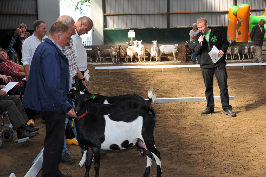 Geitenkeuring van Geitenfokvereniging Assendelft eo in Manege De Delft