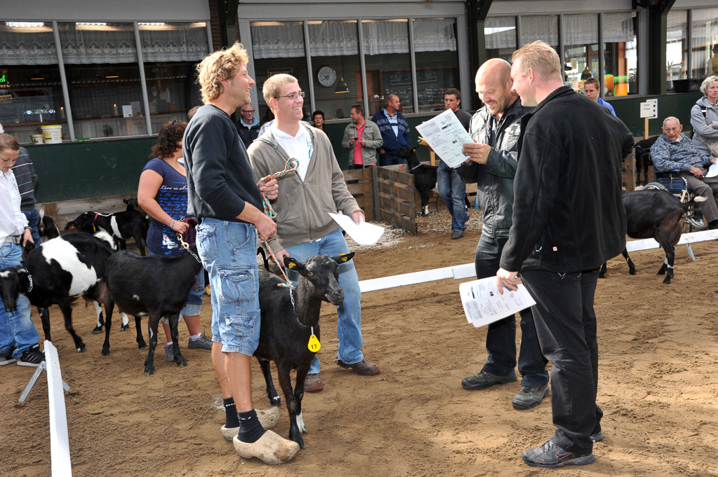 Geitenkeuring van Geitenfokvereniging Assendelft eo in Manege De Delft