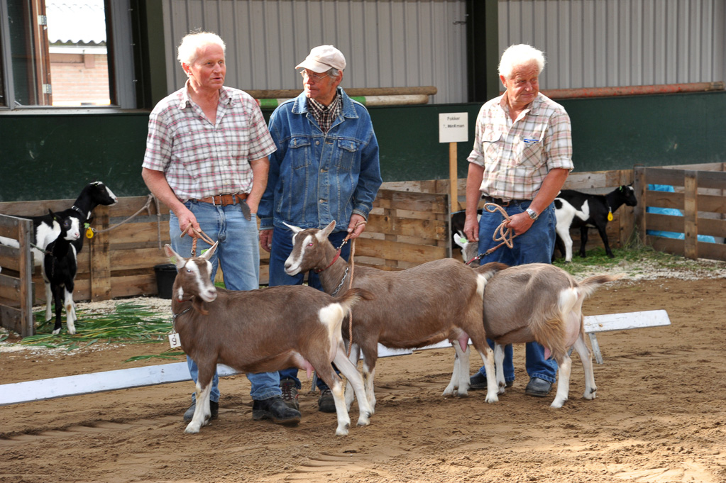 Geitenkeuring van Geitenfokvereniging Assendelft eo in Manege De Delft