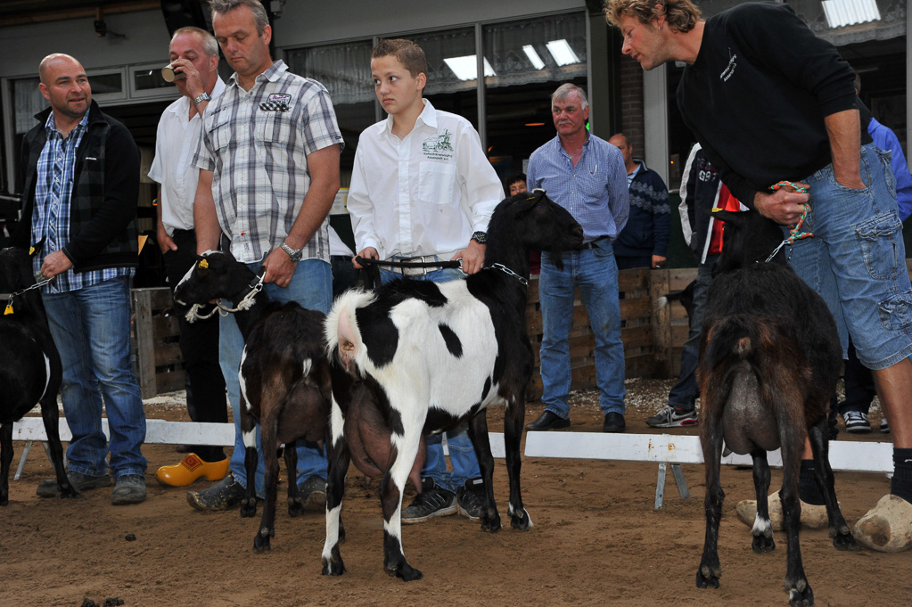 Geitenkeuring van Geitenfokvereniging Assendelft eo in Manege De Delft