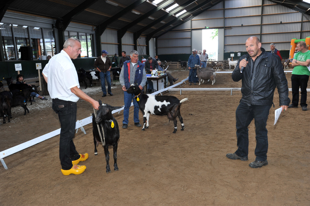 Geitenkeuring van Geitenfokvereniging Assendelft eo in Manege De Delft