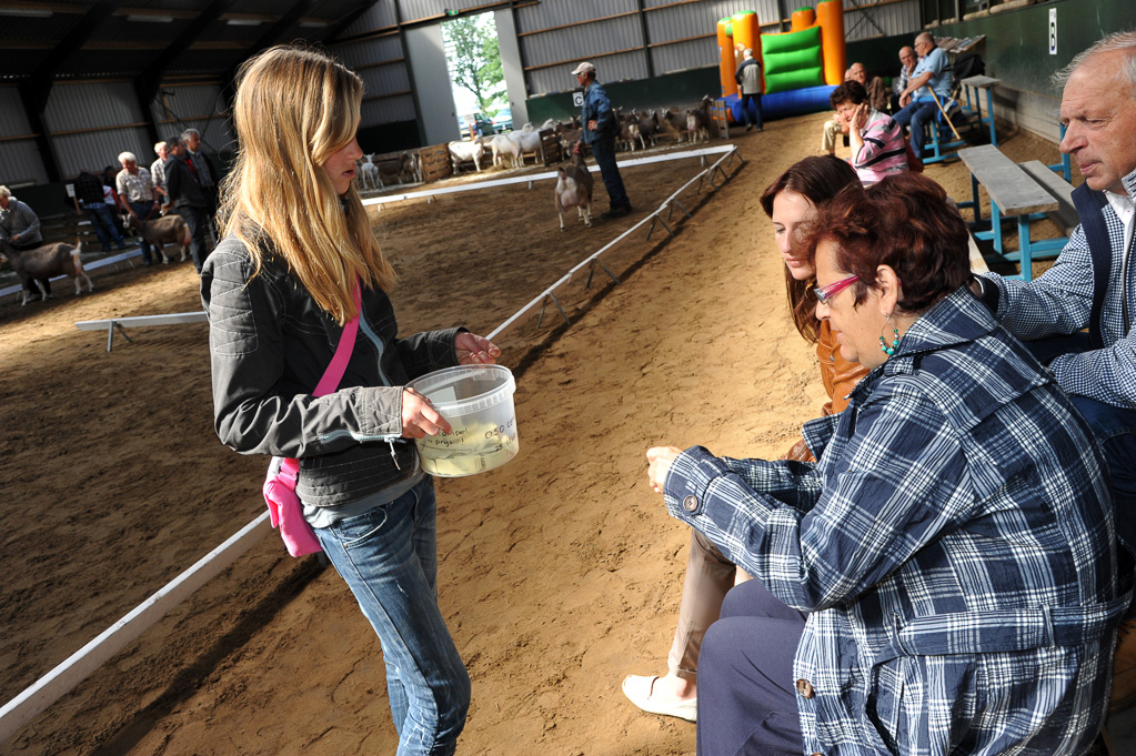 Geitenkeuring van Geitenfokvereniging Assendelft eo in Manege De Delft