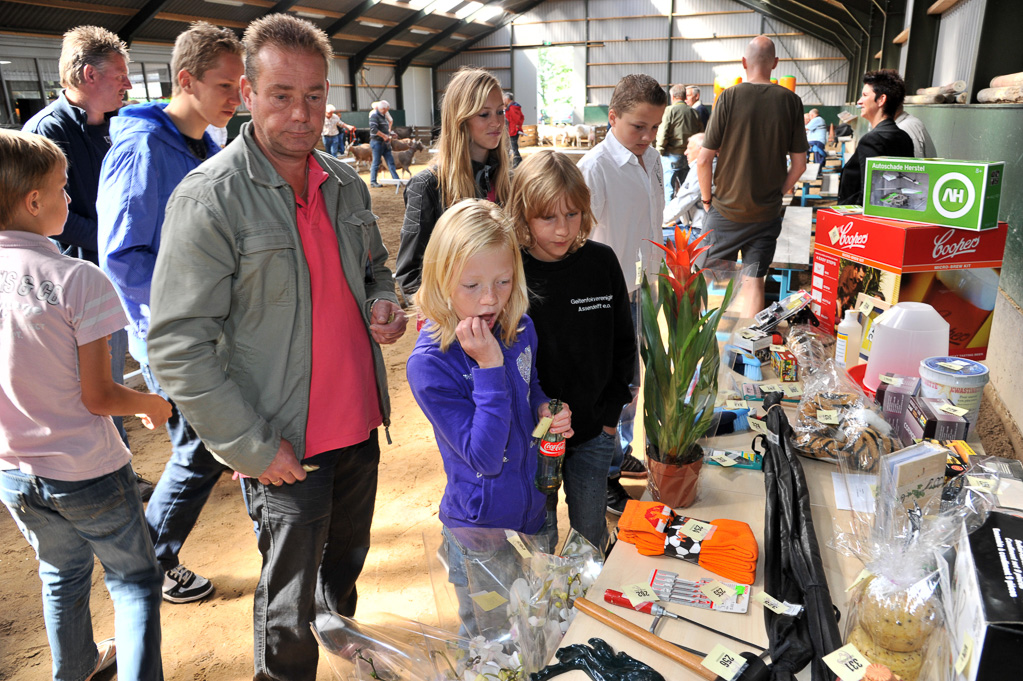 Geitenkeuring van Geitenfokvereniging Assendelft eo in Manege De Delft