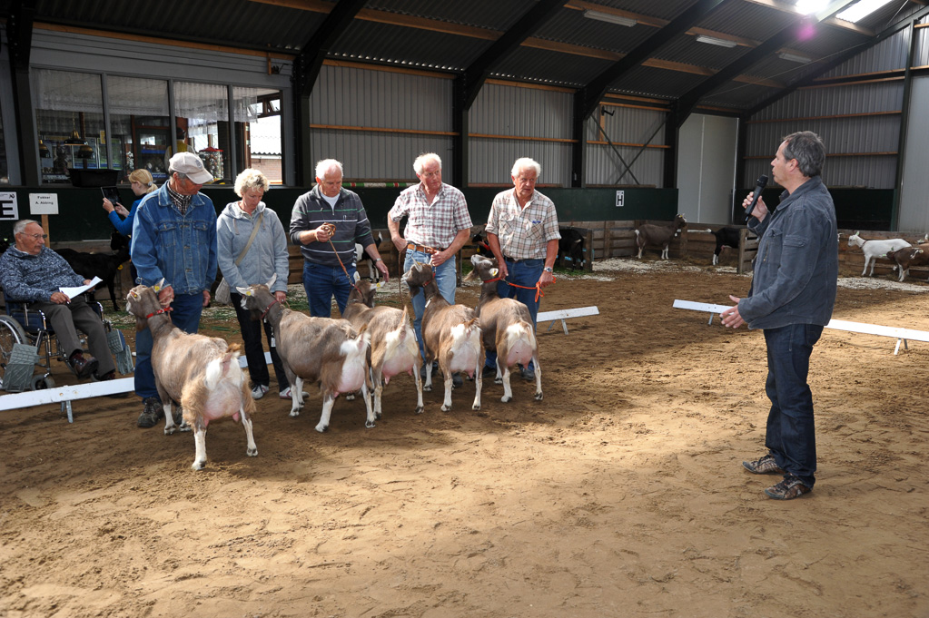 Geitenkeuring van Geitenfokvereniging Assendelft eo in Manege De Delft