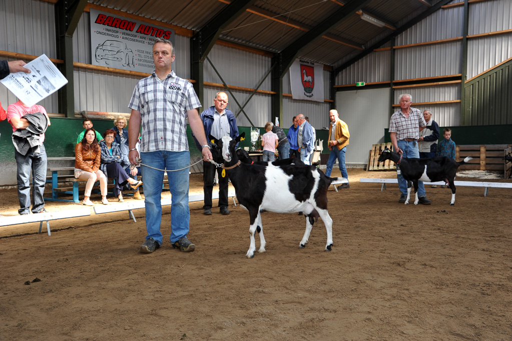 Geitenkeuring van Geitenfokvereniging Assendelft eo in Manege De Delft