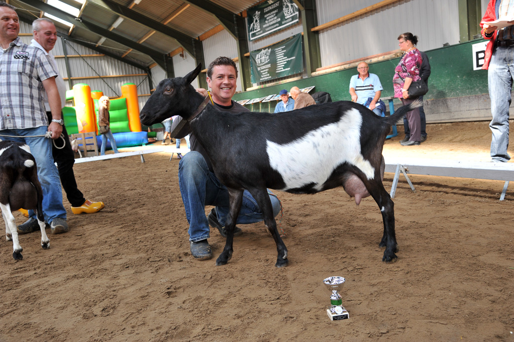 Geitenkeuring van Geitenfokvereniging Assendelft eo in Manege De Delft