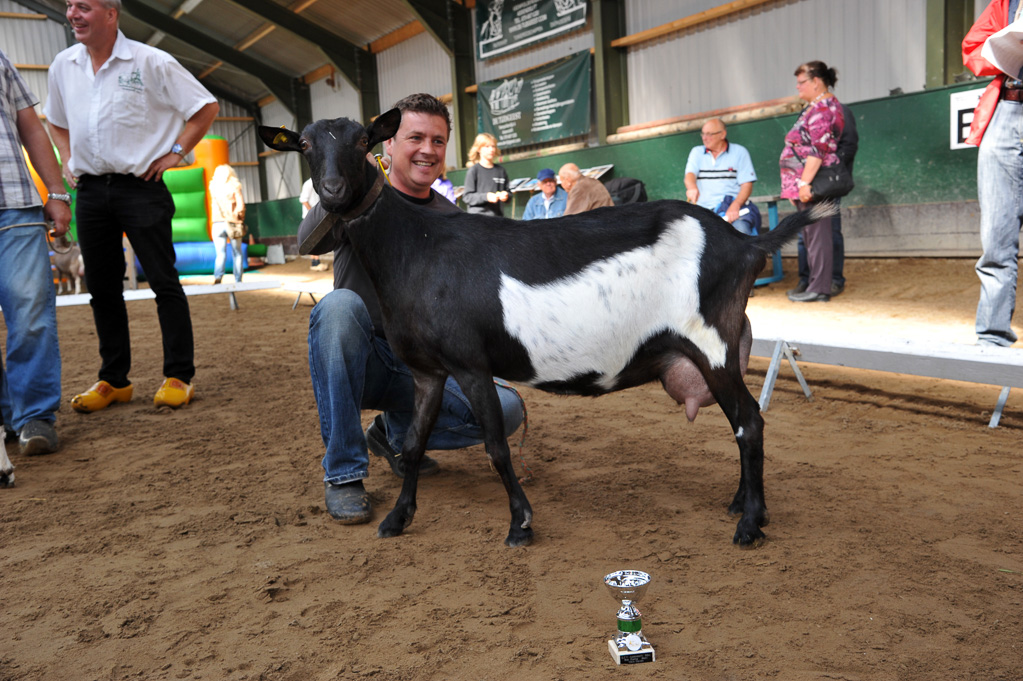 Geitenkeuring van Geitenfokvereniging Assendelft eo in Manege De Delft