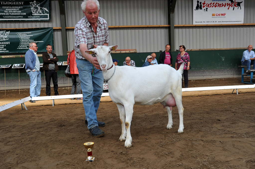 Geitenkeuring van Geitenfokvereniging Assendelft eo in Manege De Delft