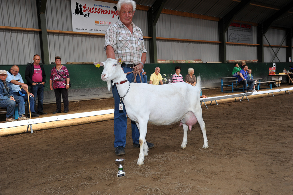 Geitenkeuring van Geitenfokvereniging Assendelft eo in Manege De Delft