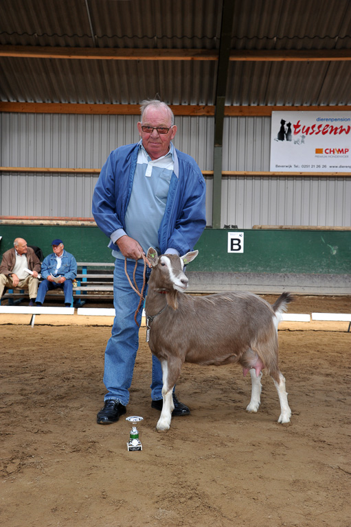 Geitenkeuring van Geitenfokvereniging Assendelft eo in Manege De Delft