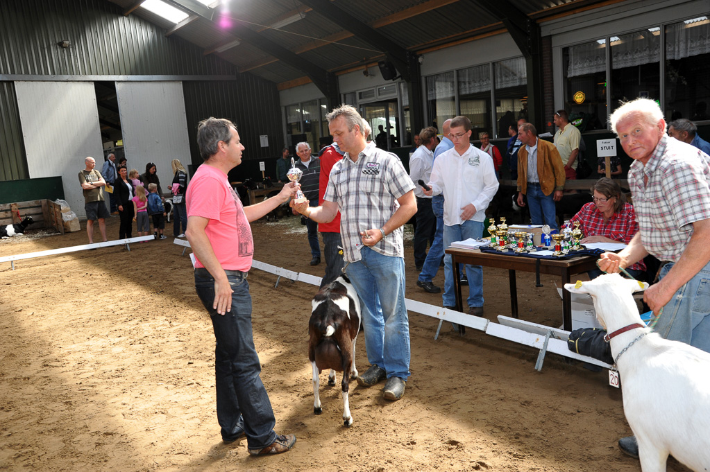 Geitenkeuring van Geitenfokvereniging Assendelft eo in Manege De Delft