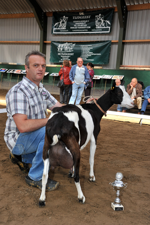 Geitenkeuring van Geitenfokvereniging Assendelft eo in Manege De Delft