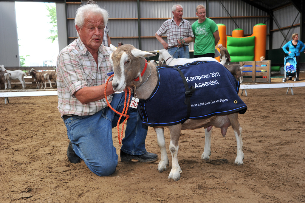 Geitenkeuring van Geitenfokvereniging Assendelft eo in Manege De Delft