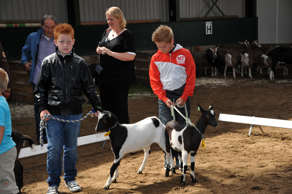 Geitenkeuring van Geitenfokvereniging Assendelft eo in Manege De Delft