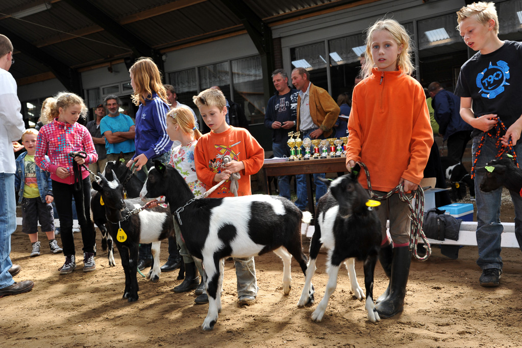 Geitenkeuring van Geitenfokvereniging Assendelft eo in Manege De Delft