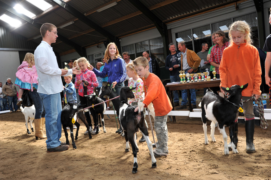 Geitenkeuring van Geitenfokvereniging Assendelft eo in Manege De Delft