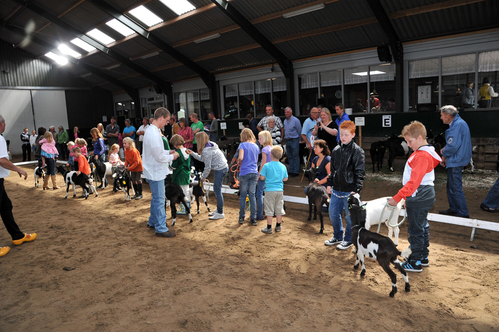 Geitenkeuring van Geitenfokvereniging Assendelft eo in Manege De Delft