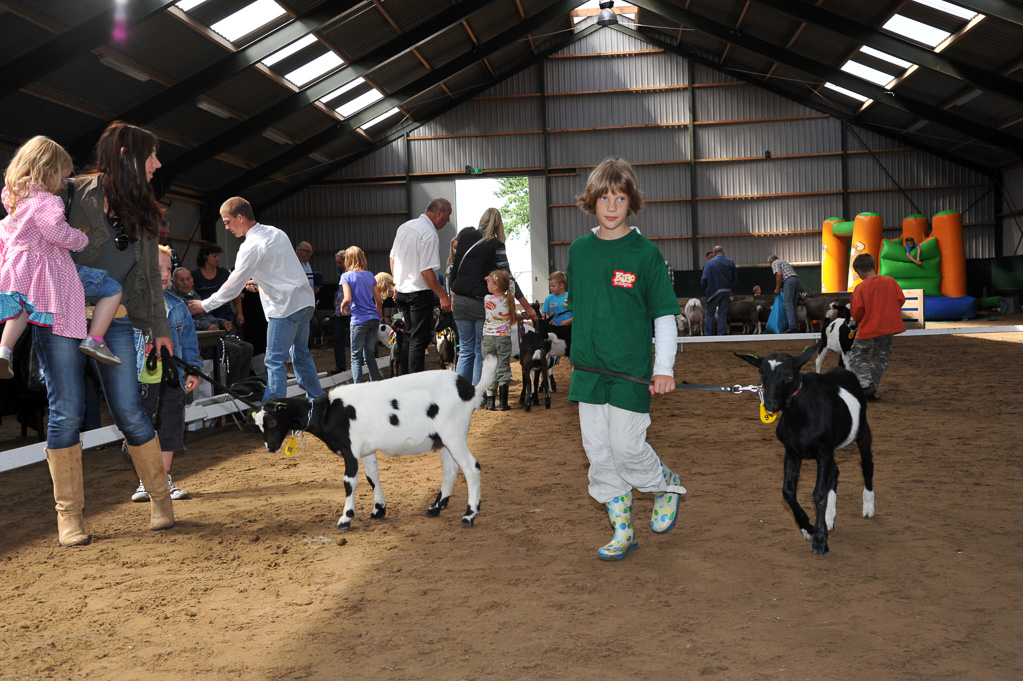 Geitenkeuring van Geitenfokvereniging Assendelft eo in Manege De Delft