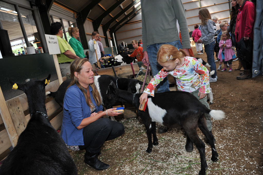 Geitenkeuring van Geitenfokvereniging Assendelft eo in Manege De Delft