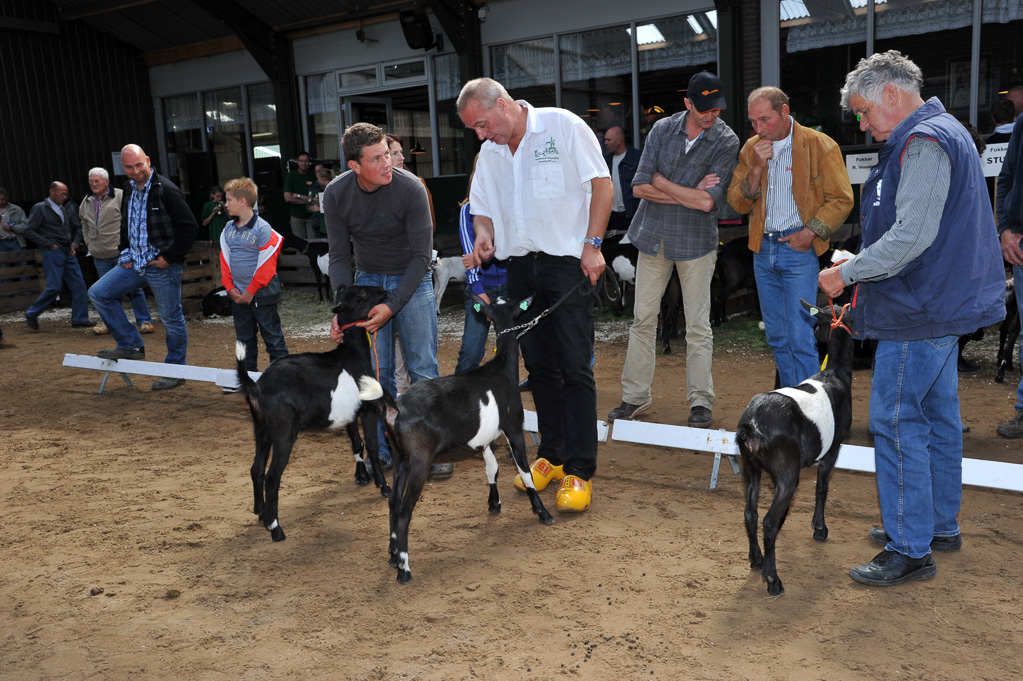 Geitenkeuring van Geitenfokvereniging Assendelft eo in Manege De Delft