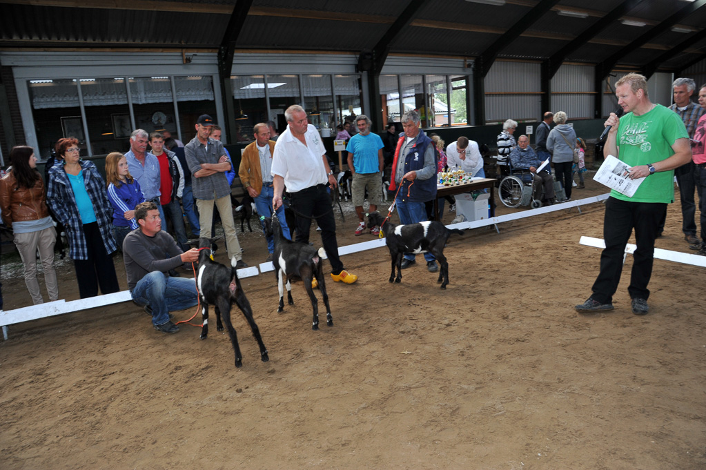 Geitenkeuring van Geitenfokvereniging Assendelft eo in Manege De Delft