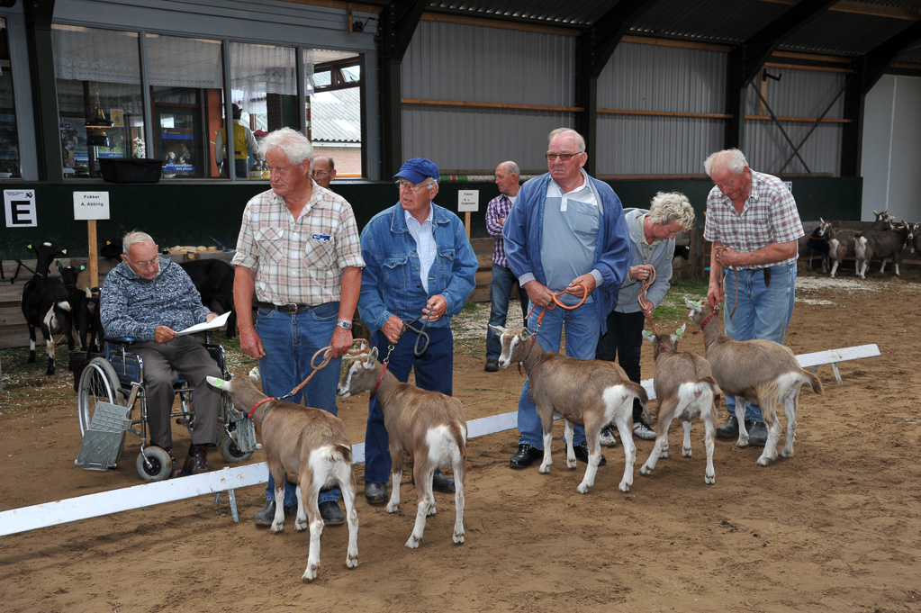 Geitenkeuring van Geitenfokvereniging Assendelft eo in Manege De Delft