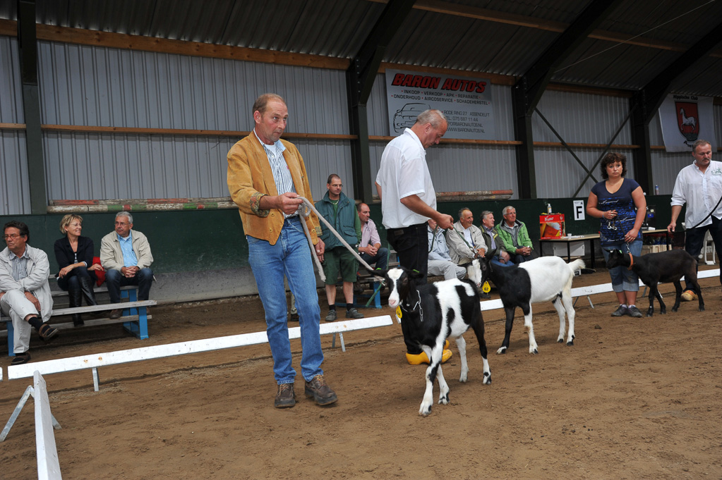 Geitenkeuring van Geitenfokvereniging Assendelft eo in Manege De Delft