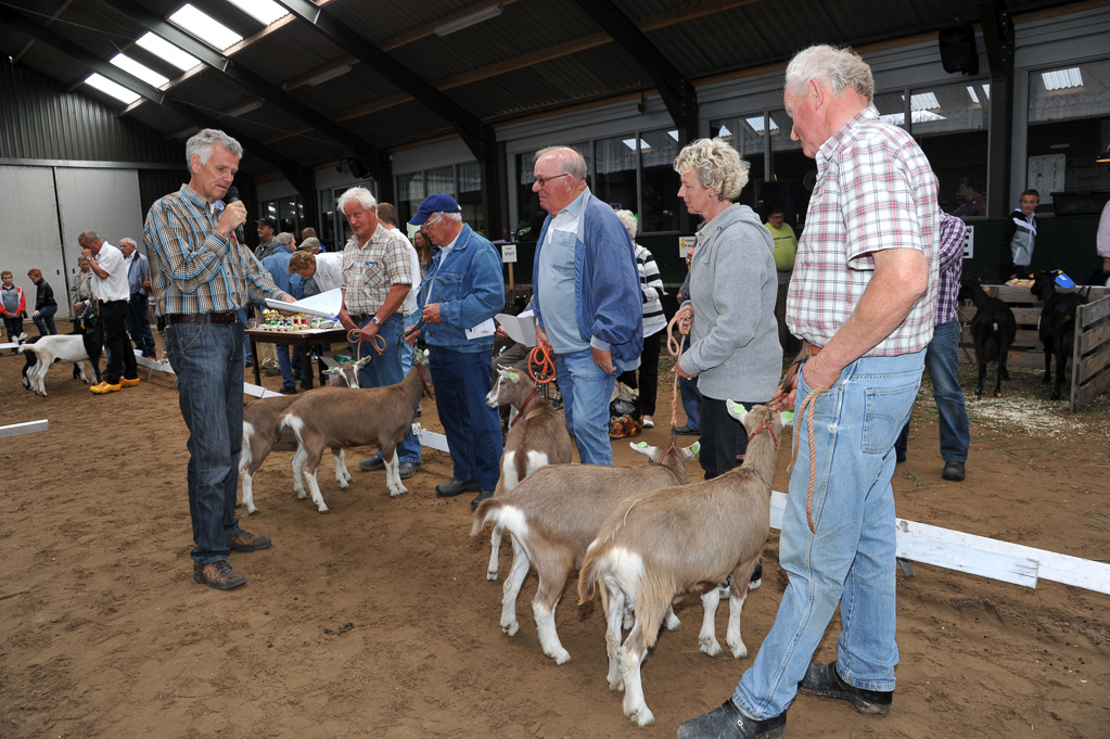 Geitenkeuring van Geitenfokvereniging Assendelft eo in Manege De Delft