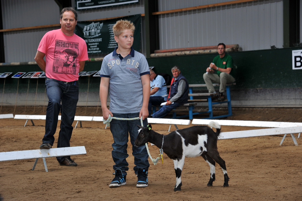 Geitenkeuring van Geitenfokvereniging Assendelft eo in Manege De Delft