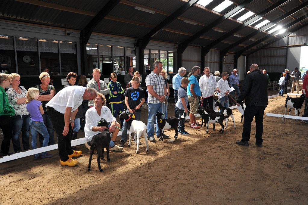 Geitenkeuring van Geitenfokvereniging Assendelft eo in Manege De Delft