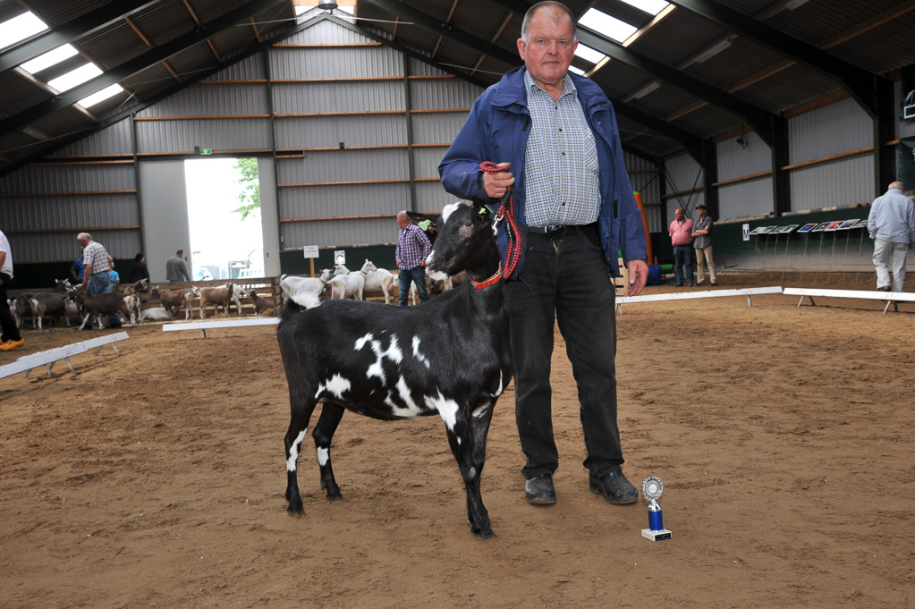 Geitenkeuring van Geitenfokvereniging Assendelft eo in Manege De Delft