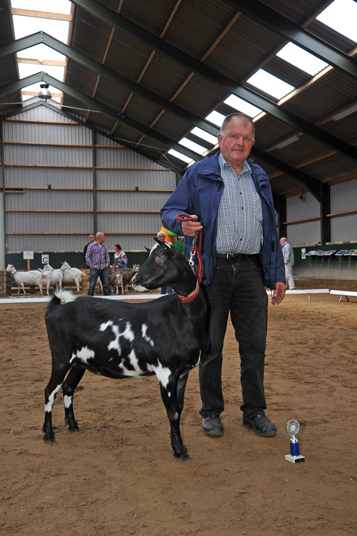 Geitenkeuring van Geitenfokvereniging Assendelft eo in Manege De Delft