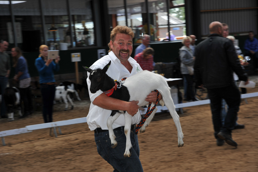 Geitenkeuring van Geitenfokvereniging Assendelft eo in Manege De Delft