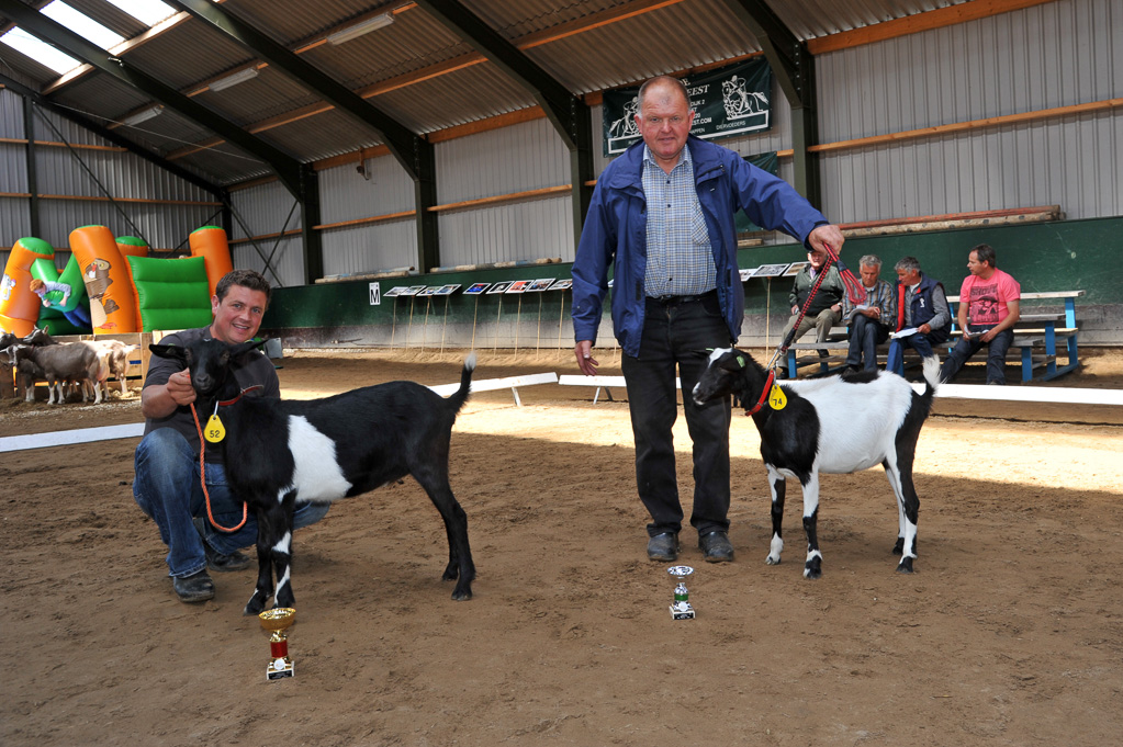 Geitenkeuring van Geitenfokvereniging Assendelft eo in Manege De Delft