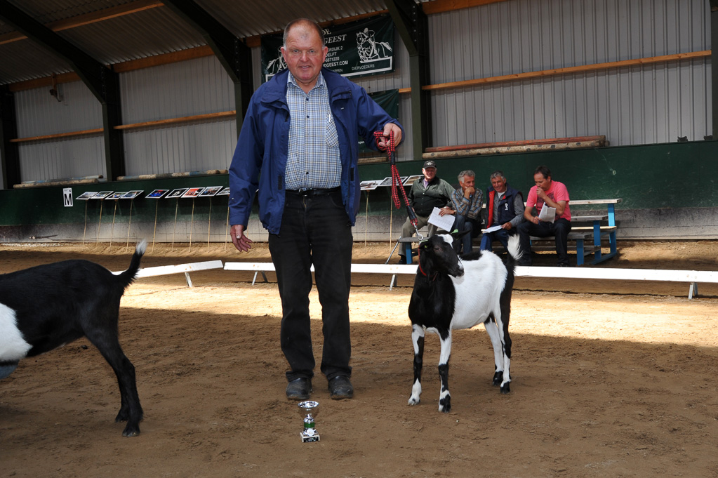 Geitenkeuring van Geitenfokvereniging Assendelft eo in Manege De Delft