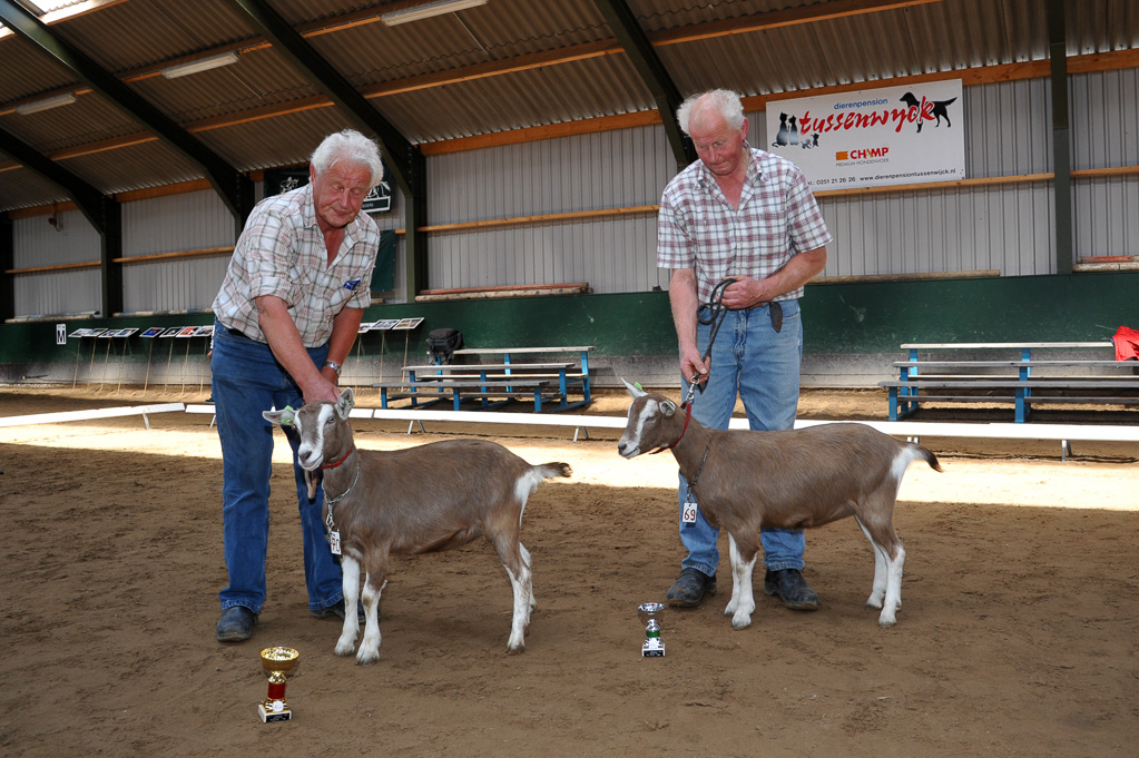 Geitenkeuring van Geitenfokvereniging Assendelft eo in Manege De Delft