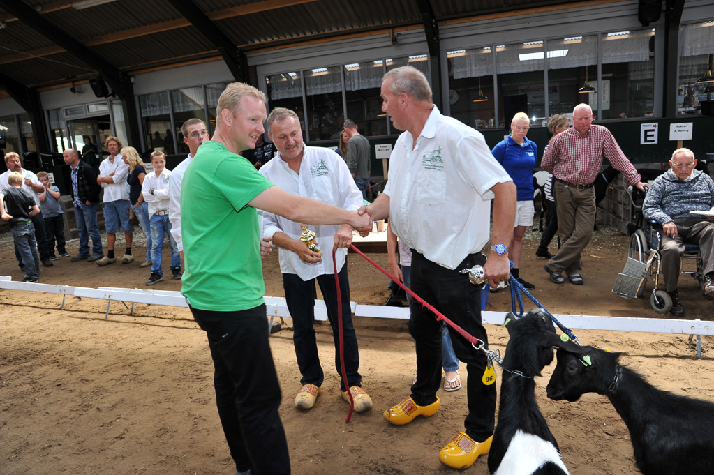 Geitenkeuring van Geitenfokvereniging Assendelft eo in Manege De Delft